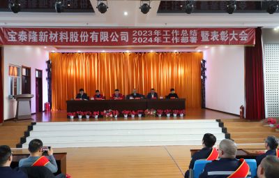 新征程 新奔赴 新未來|寶泰隆2023年度總結(jié)暨表彰大會(huì)隆重舉行